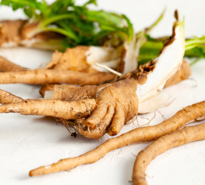 Chicory root inulin ingredient used in SlimTida